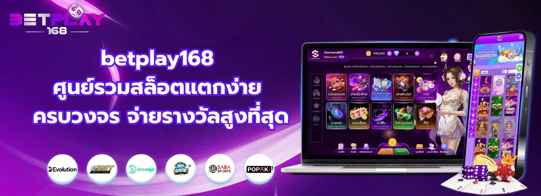 section-banner-1